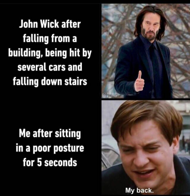 We’re 100% sure John Wick is getting regular Chiropractic Care! Chinese Medicine, Massage, Acupuncture and Psychotherapy also available. Let us help you on your healing journey 🤗  Doctors of Chiropractic are trained to realign the spine and body to help gain optimal nervous system and joint function. #ChiropracticCare 
#HealthAndWellness
#BackPainRelief
#HolisticHealing
#SpineAlignment
#NaturalHealing
#PainFreeLiving
#ChiropracticAdjustment
#WellnessJourney
#PreventiveCare
#HealthTips
#SelfCare
#HealthyLifestyle
#PostureCorrection
#BodyAlignment
#LakeRoadChiro #PortMacquarieChiro #PortMacquarie #Chiropractor #Chiropractic #EFT #Psychotherapy #SpinalFlow #MindAlignment #Massage #acupuncture #chinesemedicine #acupuncturePortMacquarie