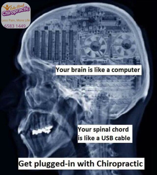 Your brain controls EVERYTHING in your body. It transmits signals through the spinal cord. Why do you think these are the only two organs encased in bone? Chiropractic care makes sure that the signals are transmitted and there are no interruptions. Have you been checked by a Chiropractor?

Doctors of Chiropractic are trained to realign the spine and body to help gain optimal nervous system and joint function.
Call us on 65831449, email us at admin@lakeroadchiro.com.au or book online www.lakeroadchiro.com.au 

#LakeRoadChiro #PortMacquarieChiro #PortMacquarie #Chiropractor #Chiropractic #Massage #acupuncture #chinesemedicine
#acupuncturePortMacquarie
#ChiroWellness
#ChiropracticCare
#HealthandWellness
#ChiropracticAdjustment
#WholeBodyHealth
#PostureCorrection
#SpineAlignment
#ChiropracticBenefits
#ChiroCommunity